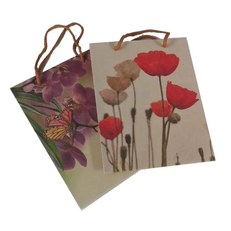 картинка Сумка подарочная крафт Цветы, 18х23х10см ; Нидерланды от магазина Флоранж