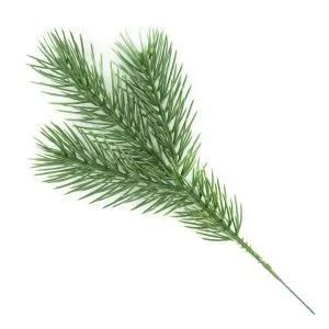 картинка Ветка еловая, 20см, зеленый от магазина Флоранж