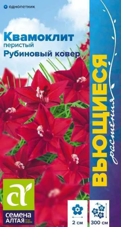 Ипомея Квамоклит Рубиновый ковер перистый (цветной пакет) 0,2г; Семена Алтая