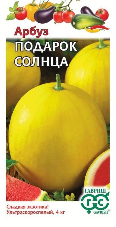 Арбуз Подарок солнца  (цветной пакет) 5шт; Гавриш