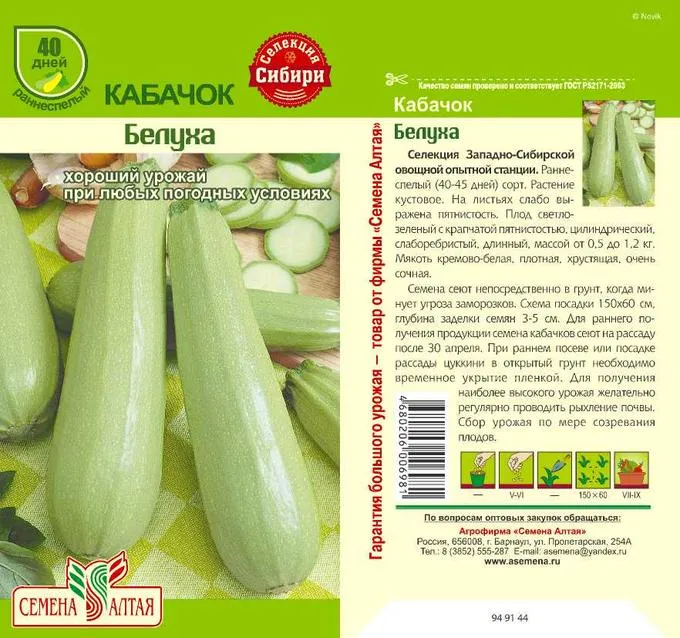 картинка Кабачок Белуха (цветной пакет) 2г; Семена Алтая от магазина Флоранж