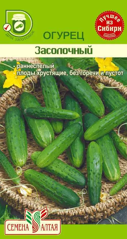 картинка Огурец Засолочный (цветной пакет) 0,5г; Семена Алтая от магазина Флоранж