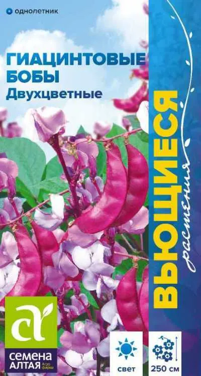 Бобы декоративные Гиацинтовые Двухцветные (цветной пакет) 1гр; Семена Алтая