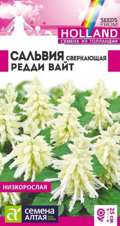Сальвия Редди Вайт сверкающая (цветной пакет) 5шт; Семена Алтая