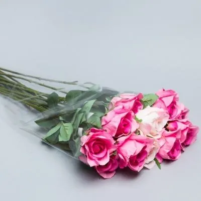 Пакет конус пленка, 35х60см; Россия