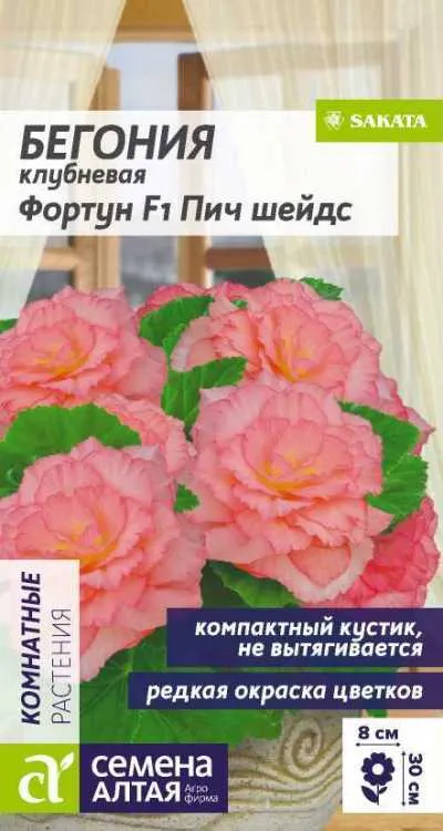 Бегония клубневая Фортуна F1 Пич шейдс (цветной пакет) 4шт; Семена Алтая
