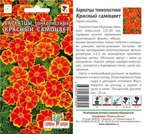 картинка Бархатцы Красный Самоцвет (цветной пакет) 0,1г; Семена Алтая от магазина Флоранж