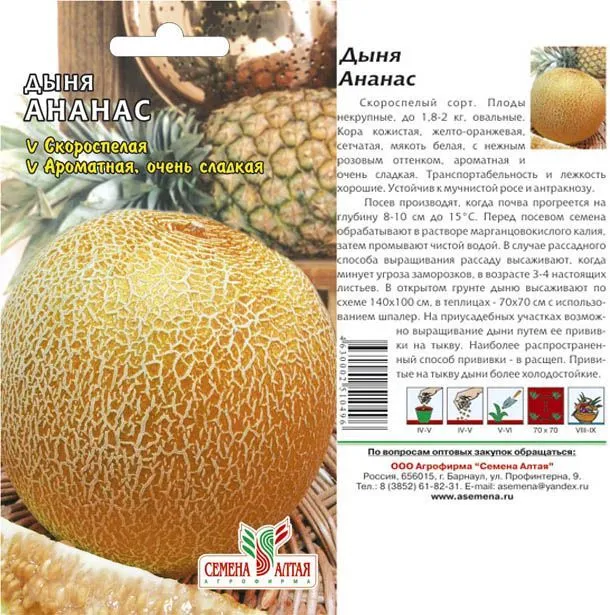 картинка Дыня Ананас (цветной пакет) 0,5г; Семена Алтая от магазина Флоранж