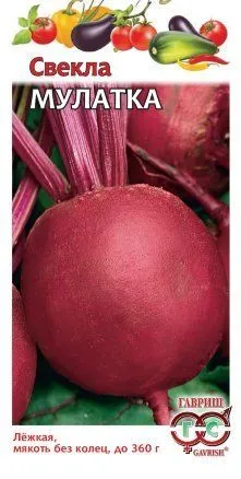 Свекла Мулатка (цветной пакет) 2г; Гавриш