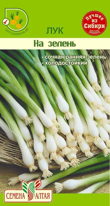 картинка Лук на зелень (цветной пакет) 0,5г; Семена Алтая от магазина Флоранж