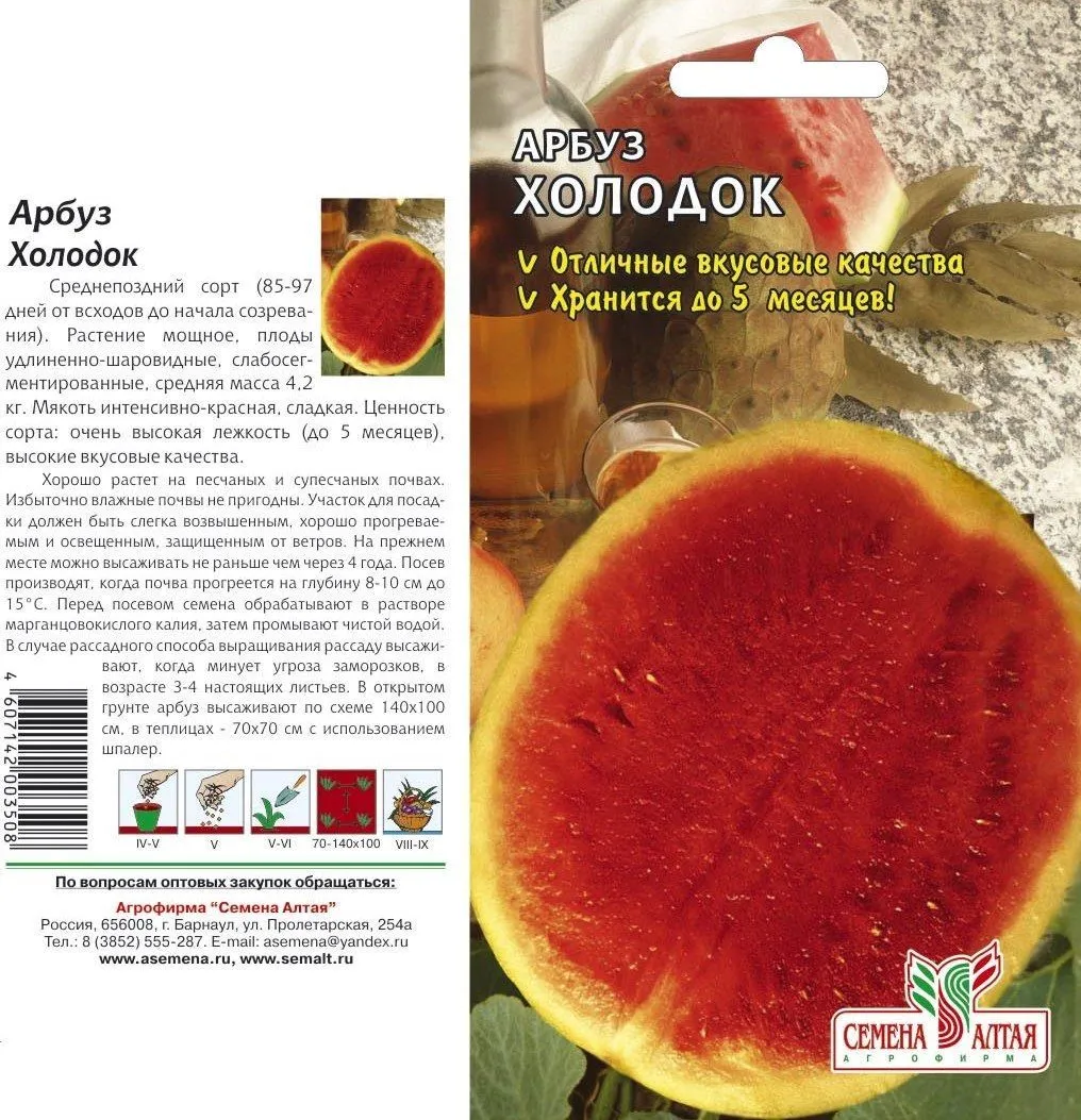 картинка Арбуз Холодок (цветной пакет) 1г; Семена Алтая от магазина Флоранж