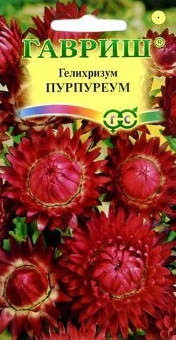 картинка Гелихризум Пурпуреум (цветной пакет) 0,1г; Гавриш от магазина Флоранж