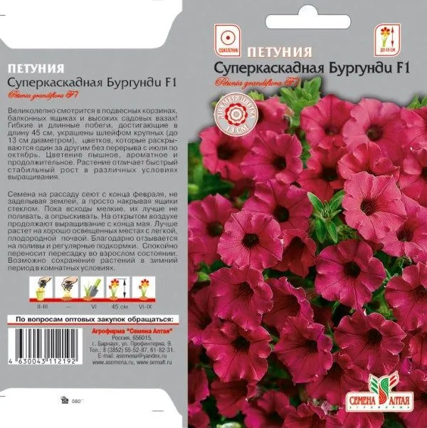картинка Петуния Суперкаскадная Бургунди F1 (цветной пакет) 7шт; Семена Алтая от магазина Флоранж