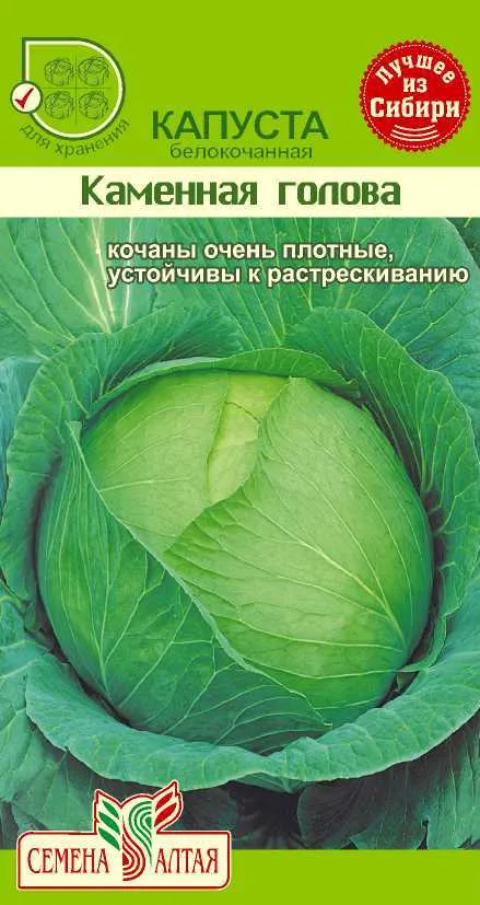 картинка Капуста белокочанная Каменная Голова (цветной пакет) 0,3г; Семена Алтая от магазина Флоранж