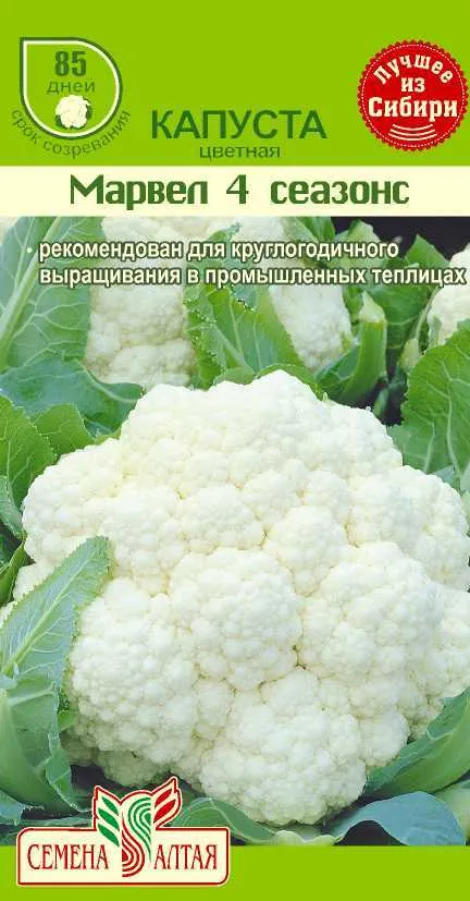 Капуста цветная Марвел 4 (цветной пакет) 0,3г; Семена Алтая