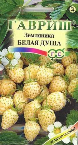 картинка Земляника Белая душа (цветной пакет) 0,03г; Гавриш от магазина Флоранж