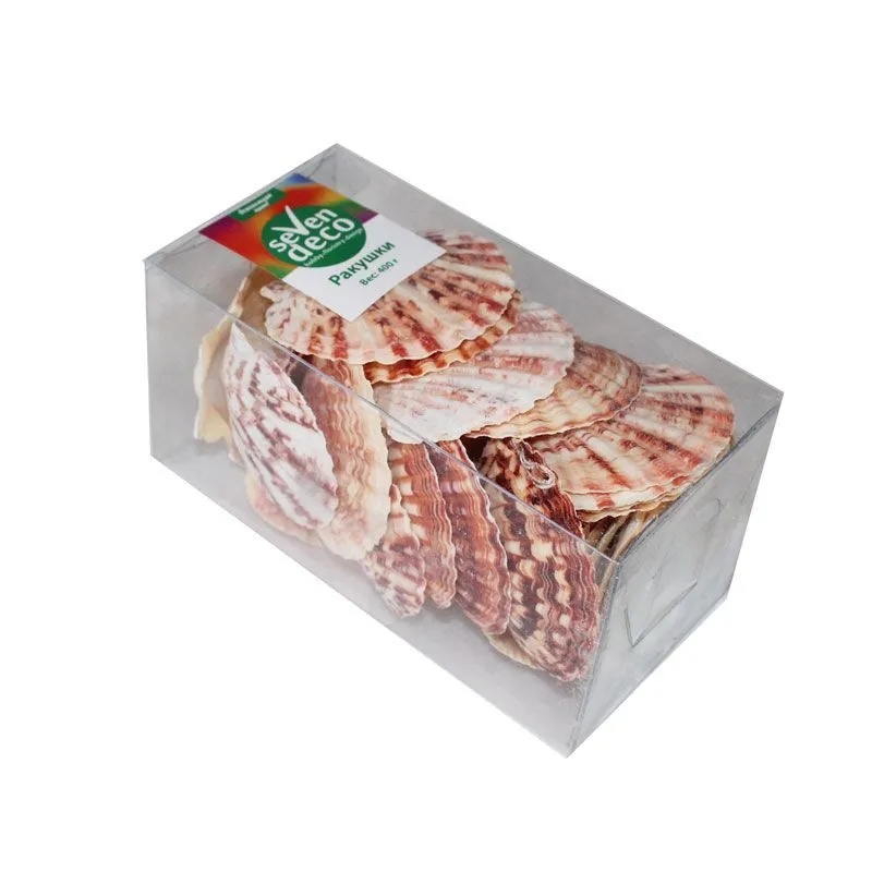 картинка Набор ракушек Pecten Lentigious, 400гр. от магазина Флоранж