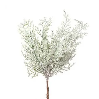 Ветки Туи на вставке 6шт., 24см