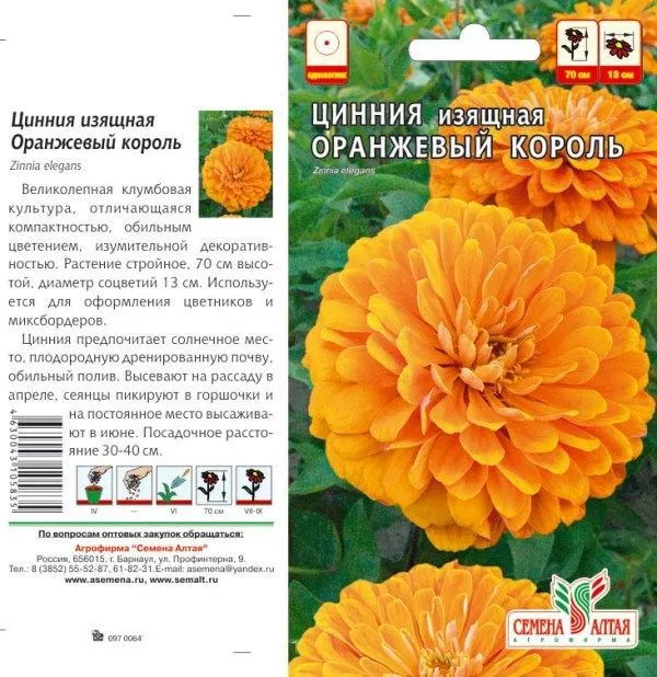 Цинния Оранжевый король (цветной пакет) 0,2г; Семена Алтая