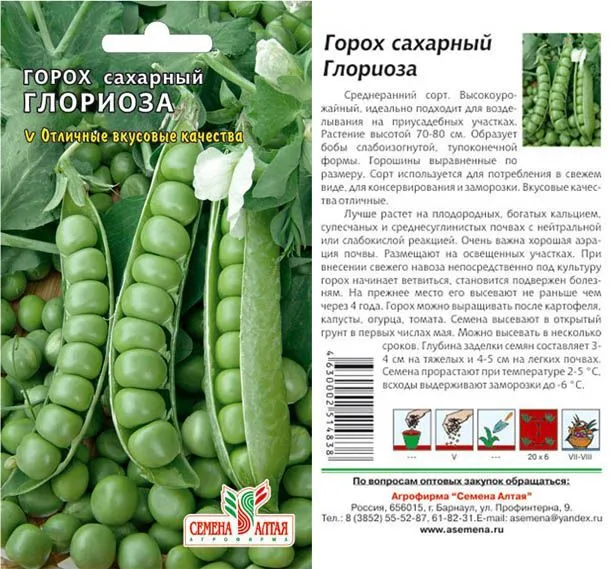 картинка Горох Глориоза (цветной пакет) 10г; Семена Алтая от магазина Флоранж