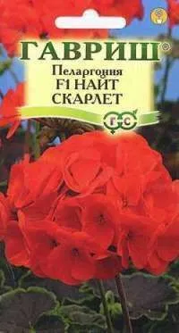 картинка Пеларгония зональная Найт Скарлет F1 (цветной пакет) 4шт; Гавриш от магазина Флоранж