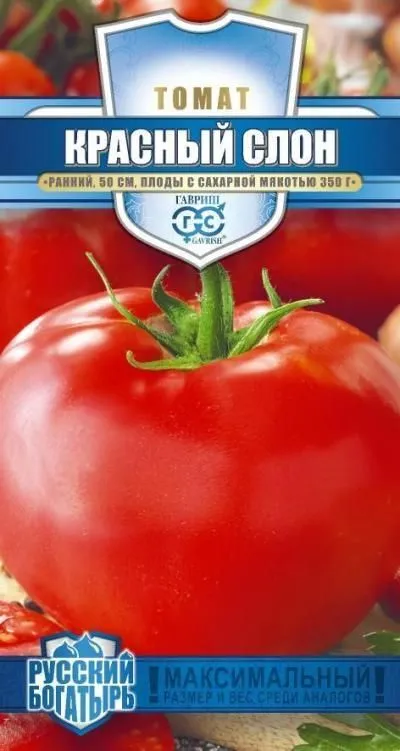 Томат Красный слон (цветной пакет) 0,05г; Гавриш