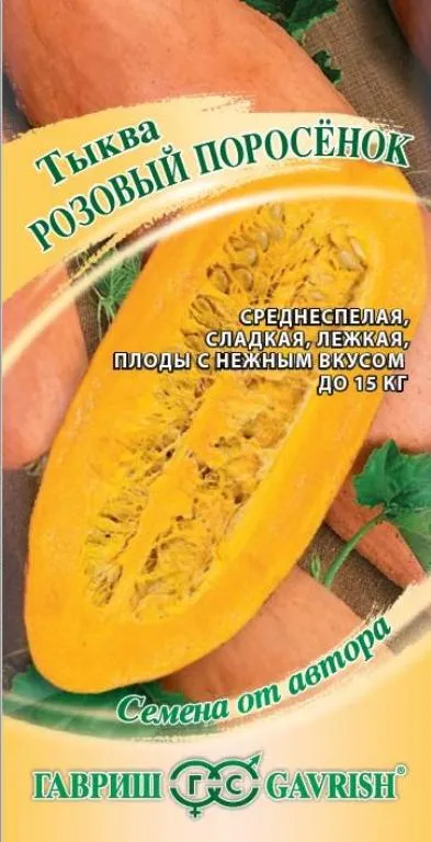 Тыква Розовый поросёнок (цветной пакет) 2г; Гавриш