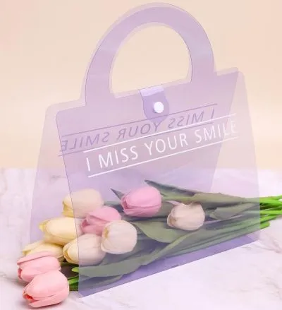 сумка Переноска 25х10х30см, прозрачная