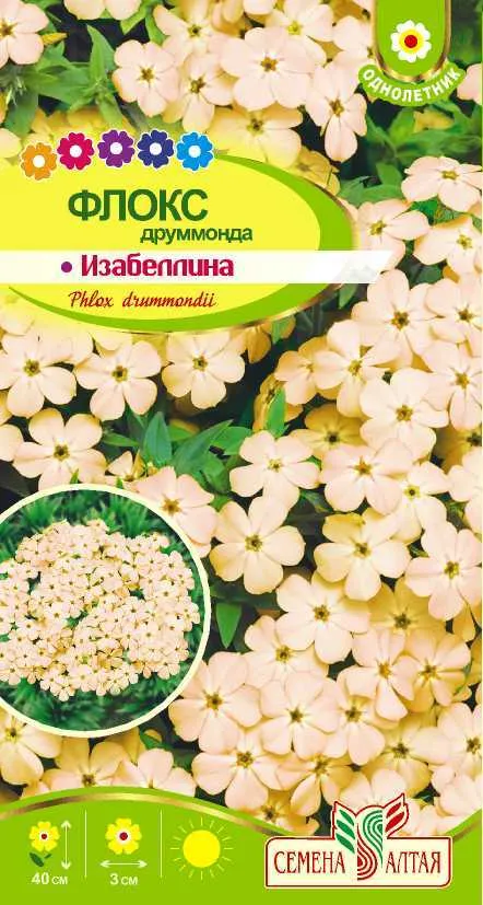 картинка Флокс Изабеллина (цветной пакет) 0,1г; Семена Алтая от магазина Флоранж