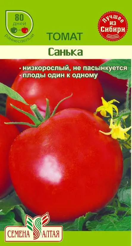 картинка Томат Санька (цветной пакет) 0,1г; Семена Алтая от магазина Флоранж