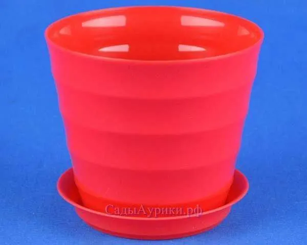 картинка Горшок пластиковый Лаура, красное, 11,5х10см, 0,7л; Россия от магазина Флоранж