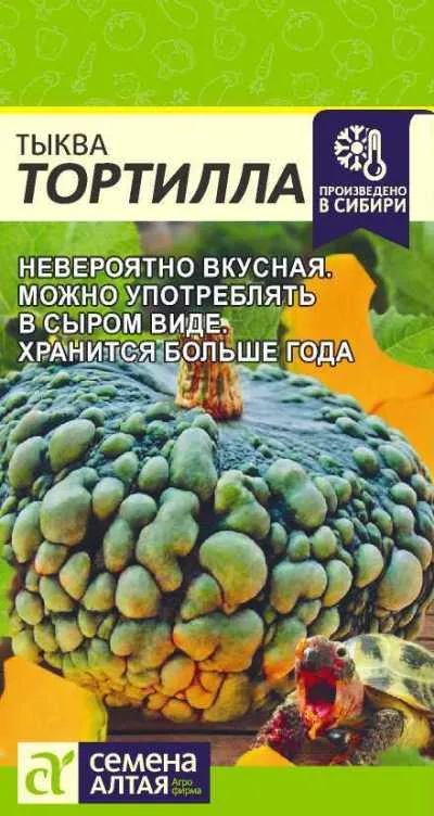 картинка Тыква Тортилла (цветной пакет) 1г; Семена Алтая от магазина Флоранж