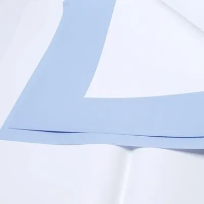 картинка Пленка лист матовая с каймой, 58смх58см; Россия от магазина Флоранж