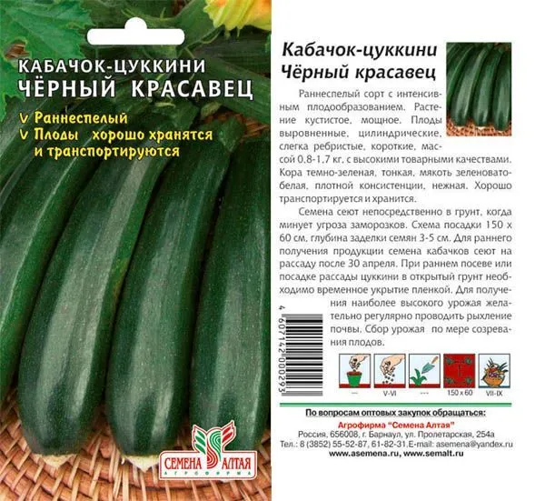 Кабачок цуккини Черный Красавец (цветной пакет) 2г; Семена Алтая
