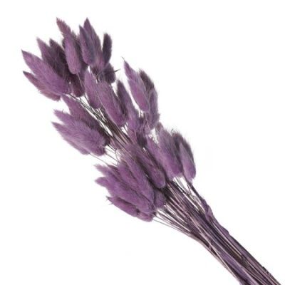 Лагурус цветной, 60шт в уп, пастельный фиолетовый