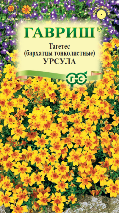 картинка Бархатцы Урсула золотисто-желтая (цветной пакет) 0,05г; Гавриш от магазина Флоранж