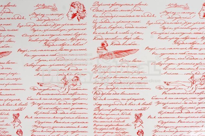 Рулон пленка Пушкинские строки, 70см; Россия
