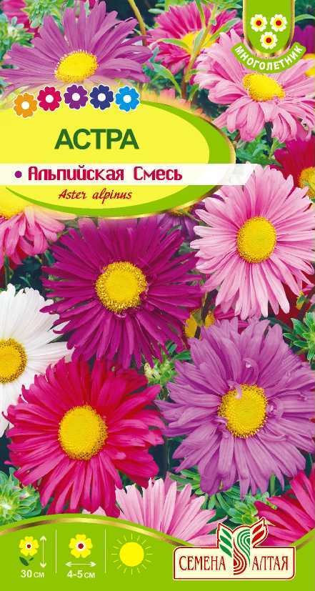 картинка Астра Альпийская смесь (цветной пакет) 0,05г; Семена Алтая от магазина Флоранж