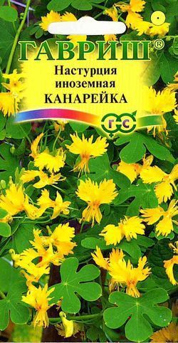 картинка Настурция Канарейка иноземная  (цветной пакет) 0,7г; Гавриш от магазина Флоранж