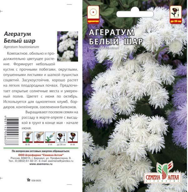 картинка Агератум Белый шар (цветной пакет) 0,1г; Семена Алтая от магазина Флоранж