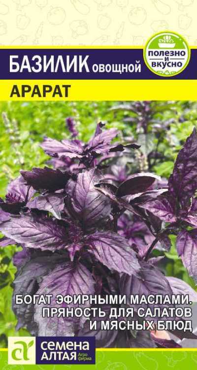 картинка Базилик Фиолетовый Арарат (цветной пакет) 0,3г; Семена Алтая от магазина Флоранж