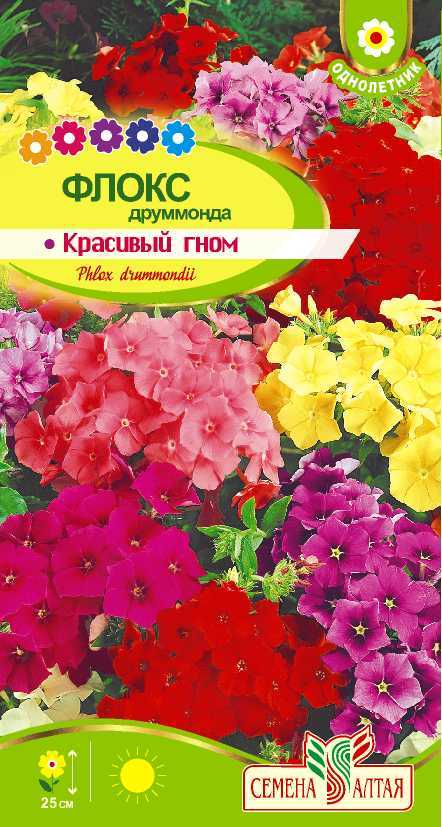 картинка Флокс Красивый Гном (цветной пакет) 0,2г; Семена Алтая от магазина Флоранж