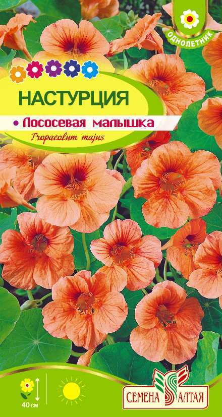 картинка Настурция Лососевая малышка (цветной пакет) 1г; Семена Алтая от магазина Флоранж