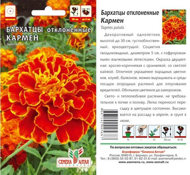 Бархатцы Кармен (цветной пакет) 0,3г; Семена Алтая