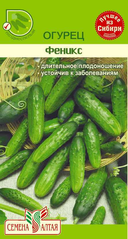картинка Огурец Феникс (цветной пакет) 0,5г; Семена Алтая от магазина Флоранж