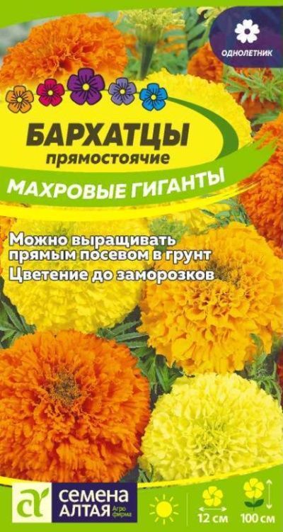 Бархатцы Махровые Гиганты (цветной пакет) 0,2г; Семена Алтая