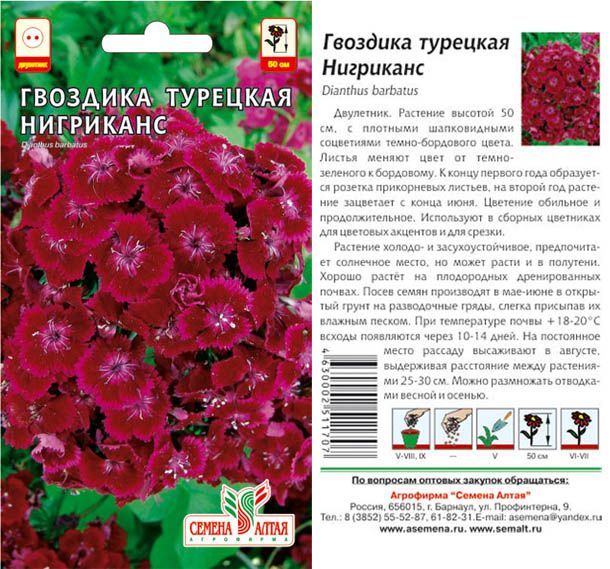 картинка Гвоздика турецкая Ниграканс (цветной пакет) 0,1г; Семена Алтая от магазина Флоранж