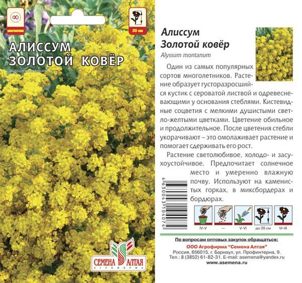 Алиссум Золотой Ковер (цветной пакет) 0,1г; Семена Алтая