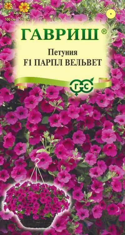 Петуния ампельная Парпл Вельвет (цветной пакет, пробирка) 4шт; Гавриш