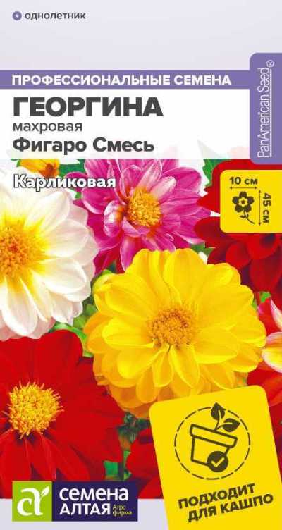картинка Георгина Фигаро Смесь (цветной пакет) 5шт; Семена Алтая от магазина Флоранж